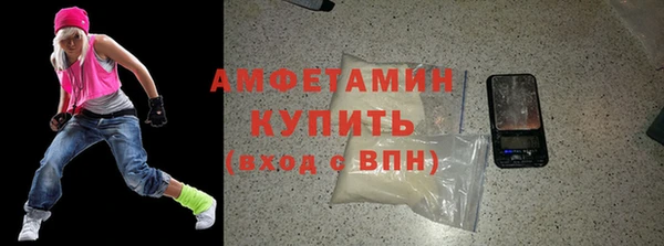 крисы Корсаков