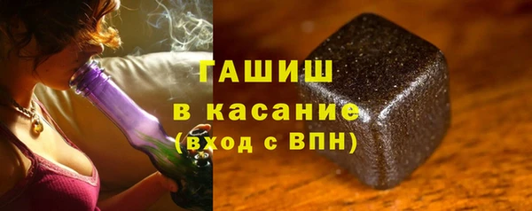 крисы Корсаков