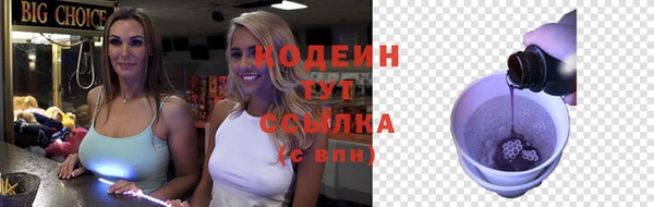 крисы Корсаков