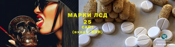 крисы Корсаков