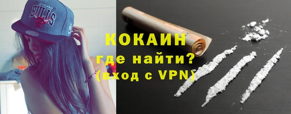 крисы Корсаков