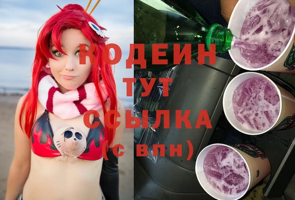 крисы Корсаков