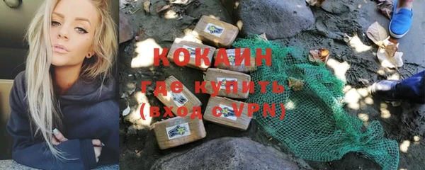 твердый Кодинск