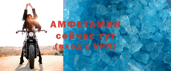 крисы Корсаков
