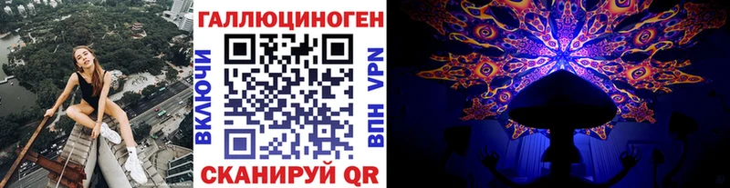Псилоцибиновые грибы Psilocybe  Купить  Полысаево 